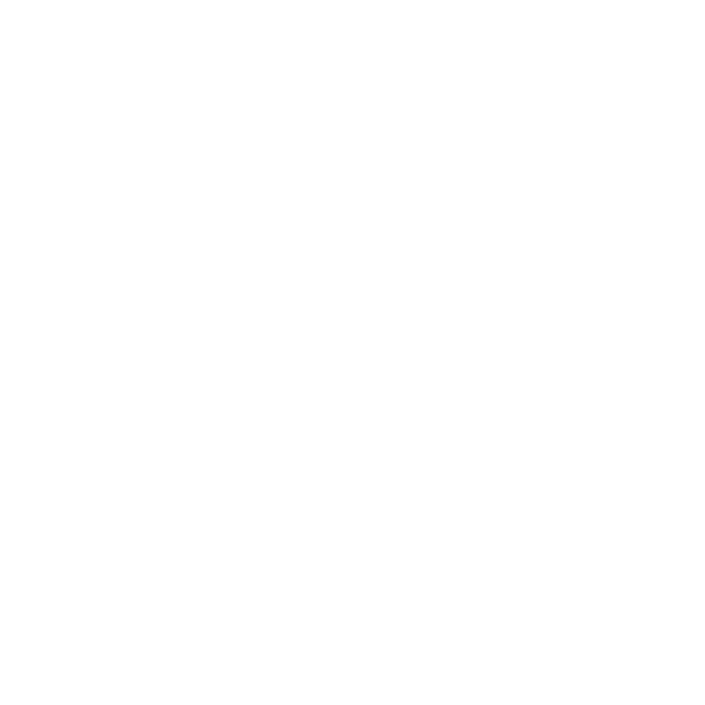 Wordpress Software House