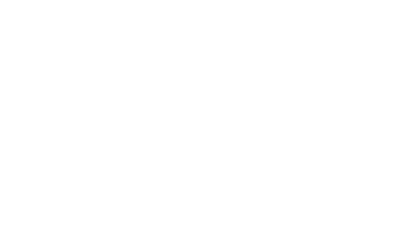 Laur Best Enterprise Software Development Consultancy 2020