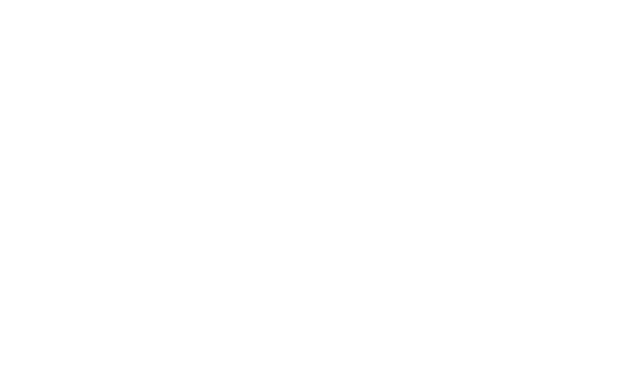 Laur Clutch Top Developer 2019
