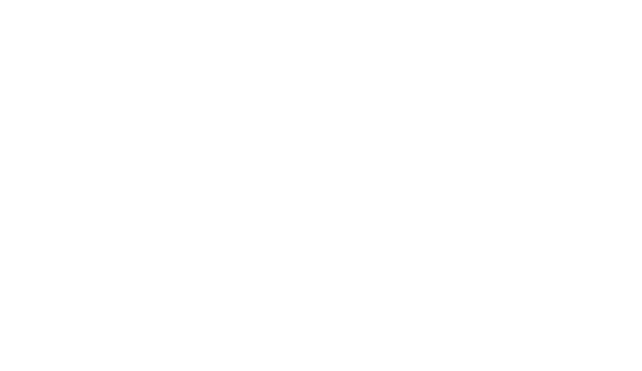 Laur Clutch Top Developer 2020